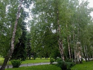 1-комн., 28.5 м², 5/5 этаж