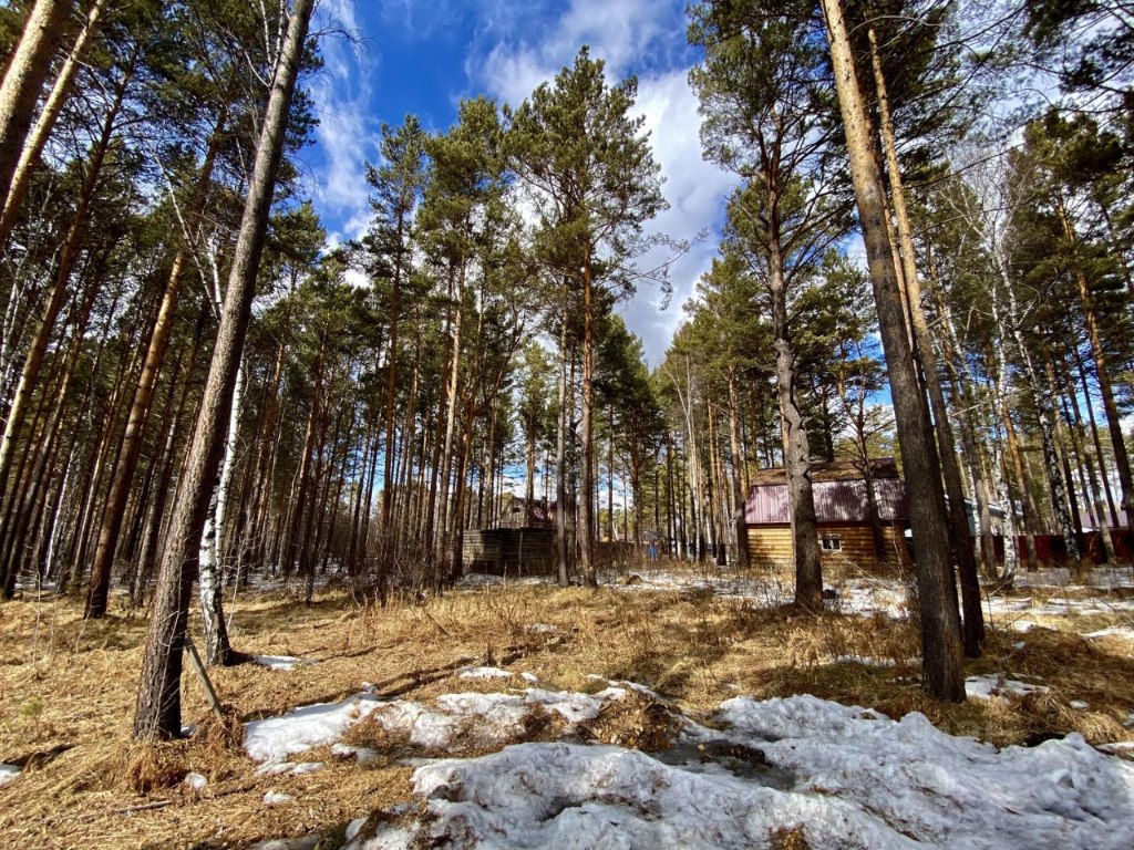 Купить участок в поселке Бутырки в Иркутском районе в Иркутской области —  14 объявлений о продаже участков на МирКвартир с ценами и фото