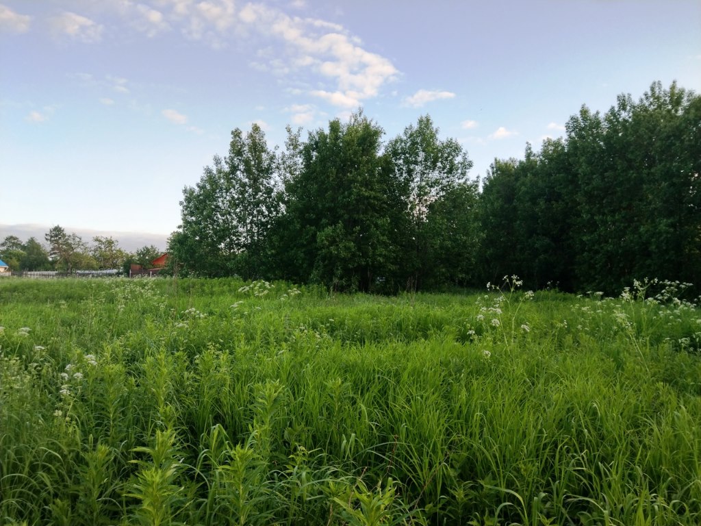 Дмитровский участок. Пересветово (Московская область). Пересветово участок. Земли для ЛПХ В Дмитровском районе. Пересветово Дмитровский район ландшафт.