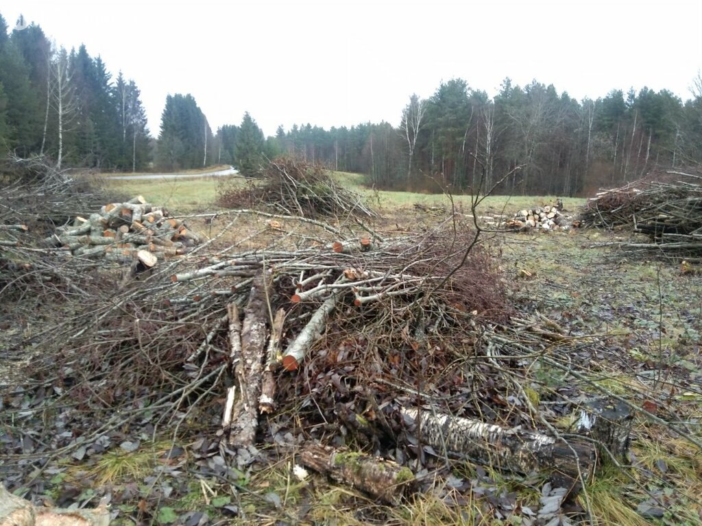 Купить участок без посредников в деревне Новая Мельница в Новгородском  районе в Новгородской области — 45 объявлений о продаже участков на  МирКвартир с ценами и фото