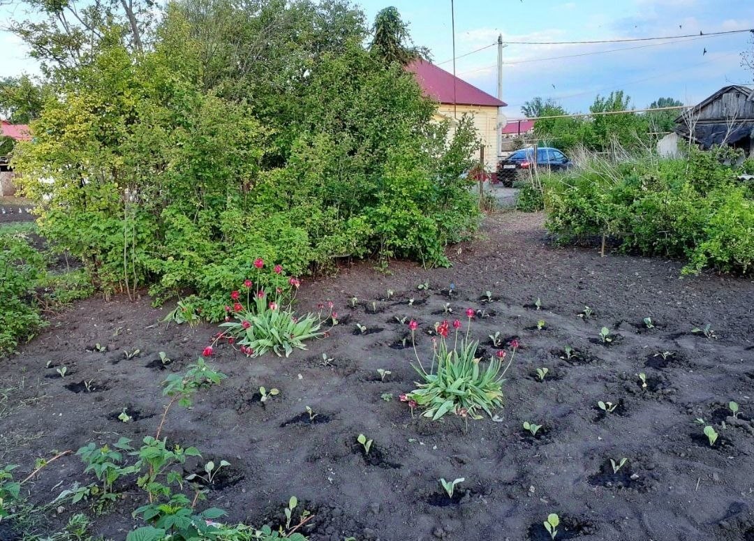 Купить дом на улице Дружбы в поселке Добринка в Добринском районе — 26  объявлений о продаже загородных домов на МирКвартир с ценами и фото