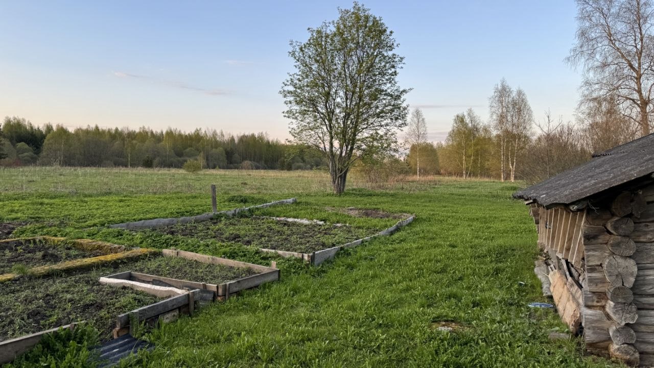 Купить дом в деревне Доманово в Новоржевском районе в Псковской области — 2  объявления о продаже загородных домов на МирКвартир с ценами и фото