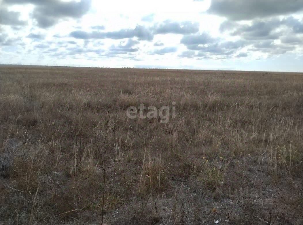 Купить загородную недвижимость в селе Красносельском в Черноморском районе  в республике Крым — 23 объявления о продаже загородной недвижимости на  МирКвартир с ценами и фото