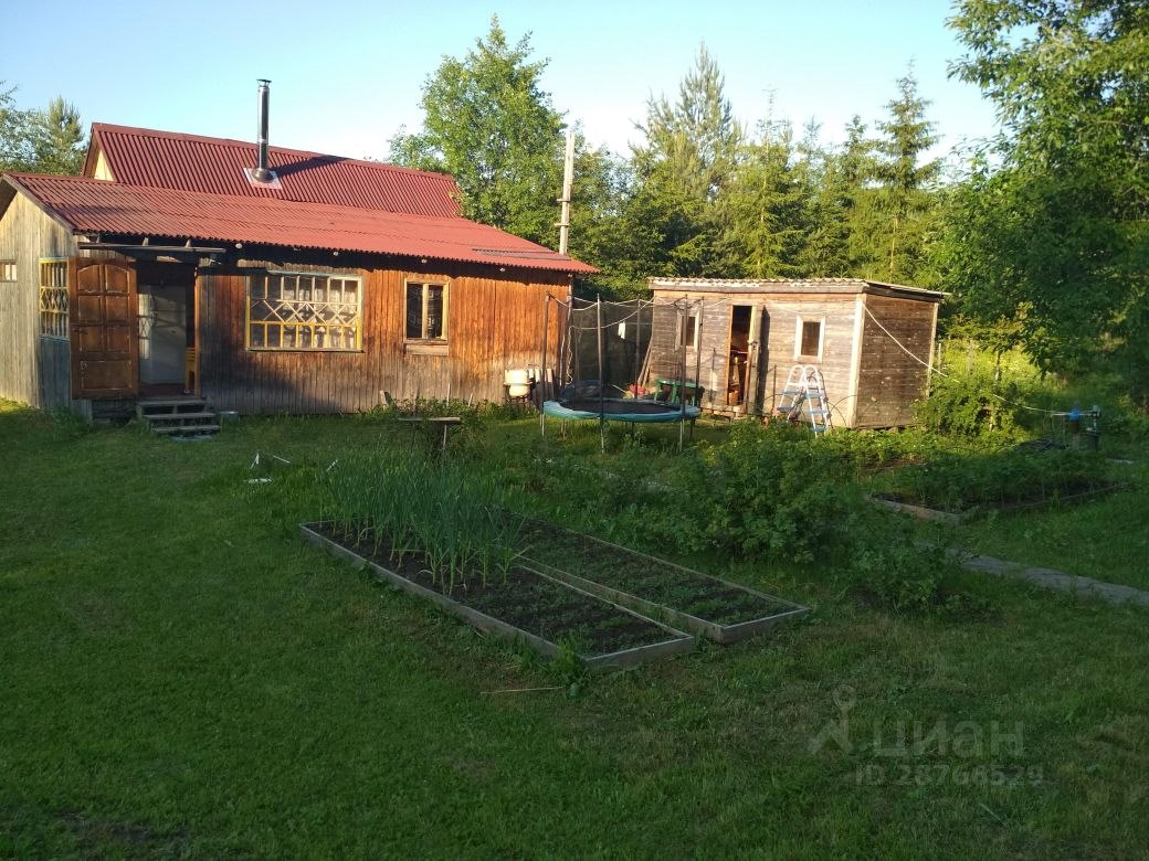 Купить участок в деревне Липовая Гора в Волосовском районе в Ленинградской  области — 14 объявлений о продаже участков на МирКвартир с ценами и фото