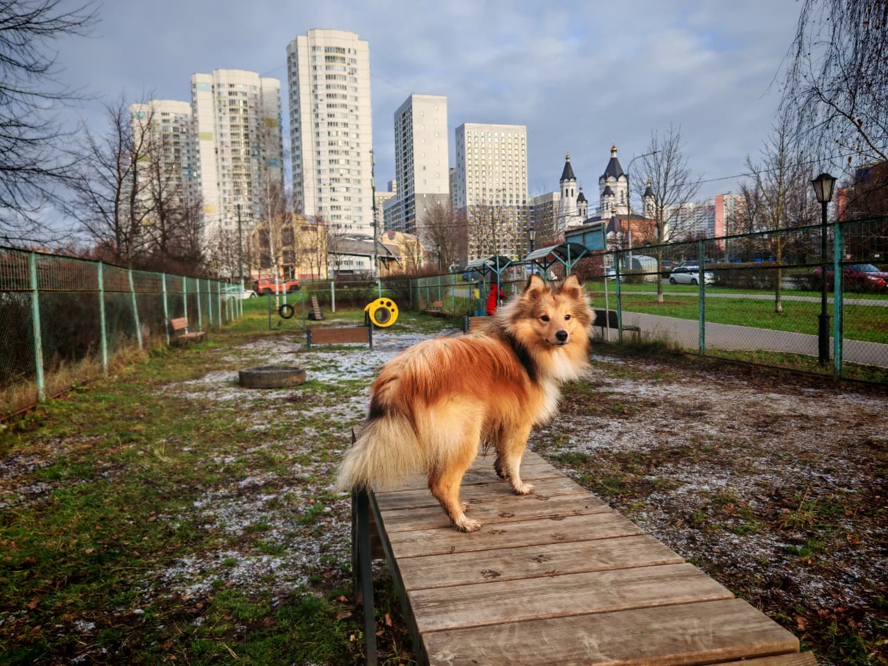 Инфраструктура нужна не только людям. Фото: Мир Квартир