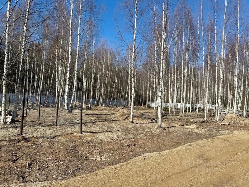 Важное правило при покупке земли: проверка, проверка и еще раз проверка. Фото: Мир Квартир