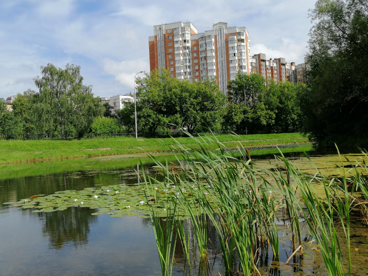 Горожанин желает видеть вокруг себя зелень и воду. Фото: Мир квартир